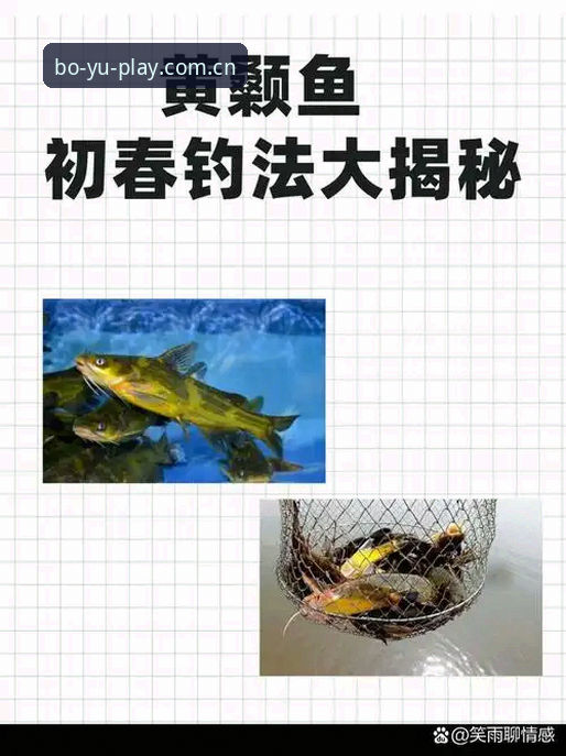 揭秘博鱼安卓版下载背后的真相：为何老用户都在用v3.0.1？