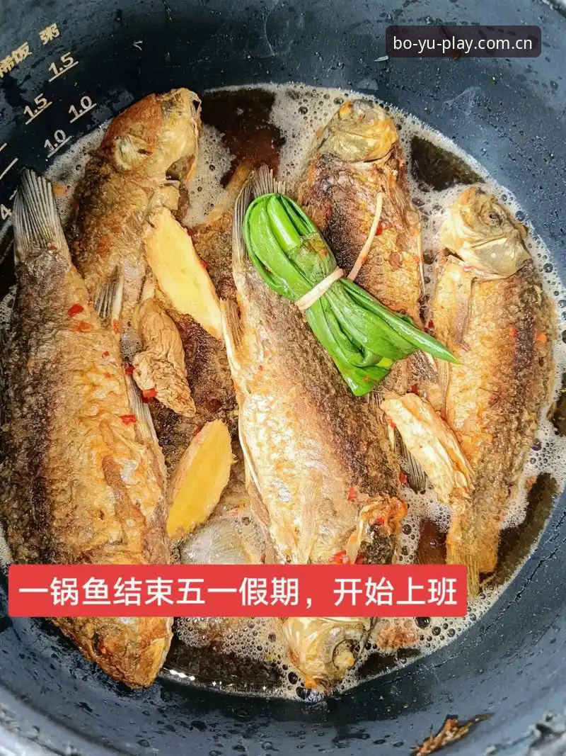 博鱼体育平台 vs 传统博鱼APP官网教程：新手选择哪个更简单？